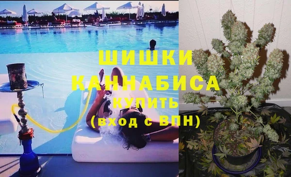 ПСИЛОЦИБИНОВЫЕ ГРИБЫ Вяземский
