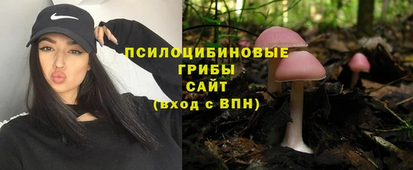 прущая мука Вязьма