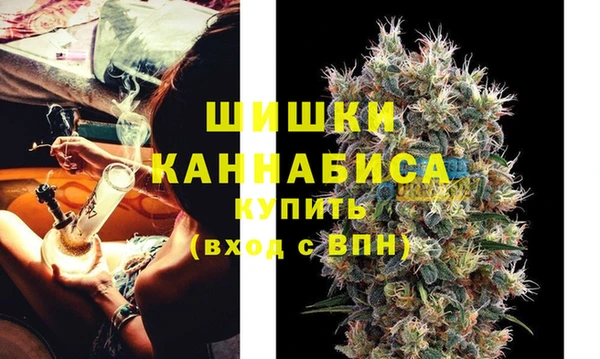 ПСИЛОЦИБИНОВЫЕ ГРИБЫ Вяземский
