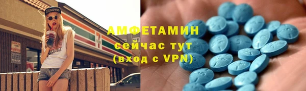 ПСИЛОЦИБИНОВЫЕ ГРИБЫ Вяземский