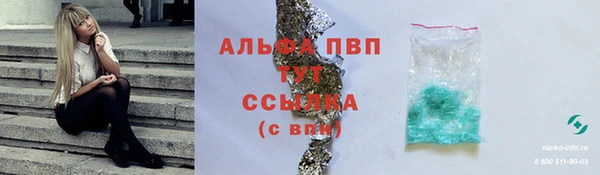 ПСИЛОЦИБИНОВЫЕ ГРИБЫ Вяземский