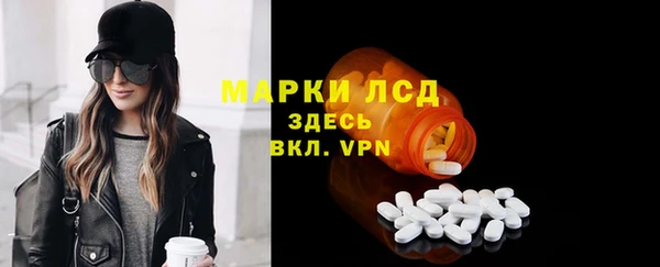 ПСИЛОЦИБИНОВЫЕ ГРИБЫ Вяземский