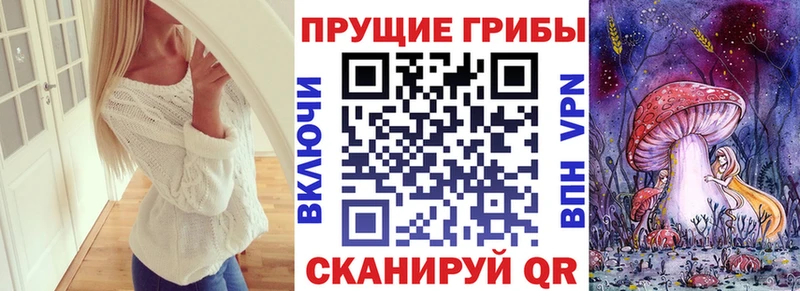 Псилоцибиновые грибы прущие грибы  наркота  Дорогобуж 